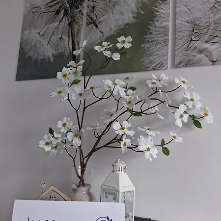 Wasserkunst Am Butterberg - Bohlenmoor Appartement